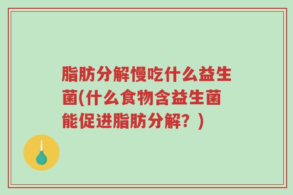 脂肪分解慢吃什么益生菌(什么食物含益生菌能促进脂肪分解?)-第1张图片-超越 脂肪分解慢吃什么益生菌(什么食物含益生菌能促进脂肪分解?)-第1张图片-超越