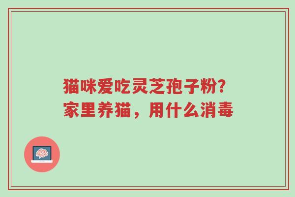 猫咪爱吃灵芝孢子粉？家里养猫，用什么消毒-第1张图片-超越