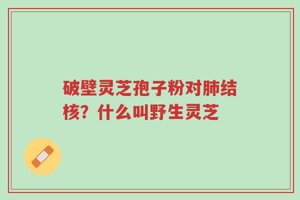 破壁灵芝孢子粉对肺结核?什么叫野生灵芝-第1张图片-超越 破壁灵芝孢子粉对肺结核?什么叫野生灵芝-第1张图片-超越