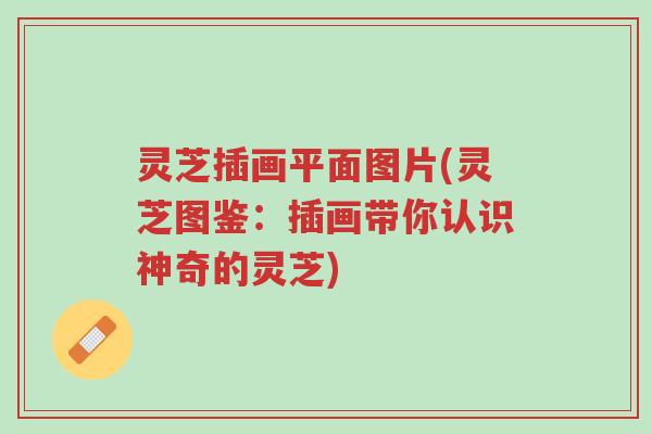 灵芝插画平面图片(灵芝图鉴:插画带你认识神奇的灵芝)-第1张图片-超越 灵芝插画平面图片(灵芝图鉴:插画带你认识神奇的灵芝)-第1张图片-超越