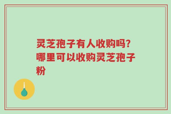 灵芝孢子有人收购吗？哪里可以收购灵芝孢子粉-第1张图片-超越
