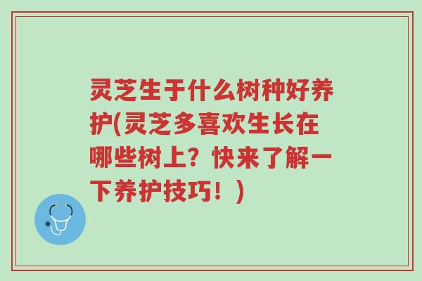 灵芝生于什么树种好养护(灵芝多喜欢生长在哪些树上?快来了解一下养护技巧!)-第1张图片-超越 灵芝生于什么树种好养护(灵芝多喜欢生长在哪些树上?快来了解一下养护技巧!)-第1张图片-超越