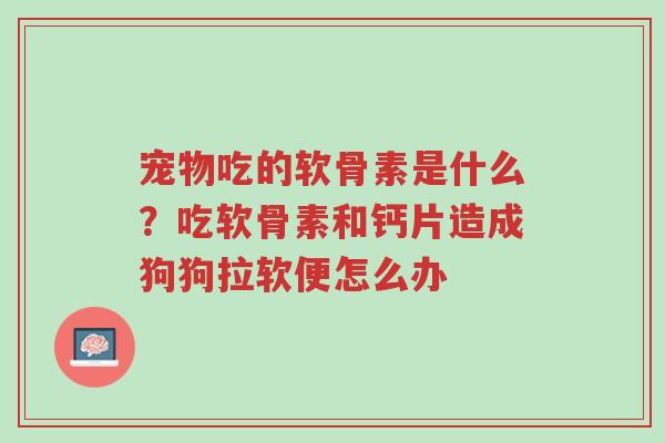 宠物吃的软骨素是什么?吃软骨素和钙片造成狗狗拉软便怎么办-第1张图片-超越 宠物吃的软骨素是什么?吃软骨素和钙片造成狗狗拉软便怎么办-第1张图片-超越