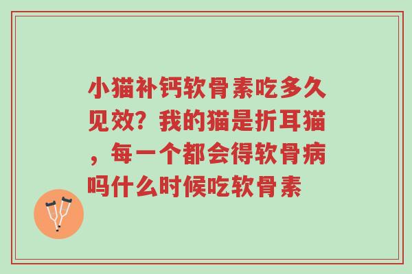 小猫补钙软骨素吃多久见效?我的猫是折耳猫,每一个都会得软骨病吗什么时候吃软骨素-第1张图片-超越 小猫补钙软骨素吃多久见效?我的猫是折耳猫,每一个都会得软骨病吗什么时候吃软骨素-第1张图片-超越