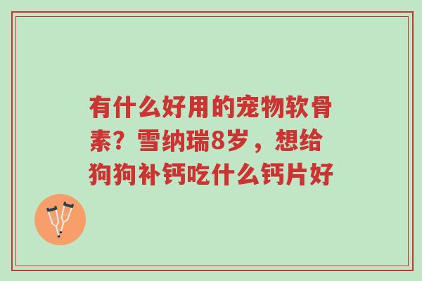 有什么好用的宠物软骨素?雪纳瑞8岁,想给狗狗补钙吃什么钙片好-第1张图片-超越 有什么好用的宠物软骨素?雪纳瑞8岁,想给狗狗补钙吃什么钙片好-第1张图片-超越