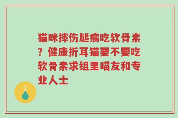 猫咪摔伤腿瘸吃软骨素?健康折耳猫要不要吃软骨素求组里喵友和专业人士-第1张图片-超越 猫咪摔伤腿瘸吃软骨素?健康折耳猫要不要吃软骨素求组里喵友和专业人士-第1张图片-超越