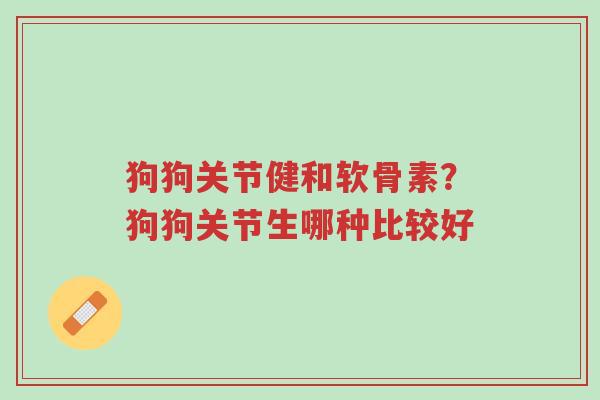 狗狗关节健和软骨素?狗狗关节生哪种比较好-第1张图片-超越 狗狗关节健和软骨素?狗狗关节生哪种比较好-第1张图片-超越