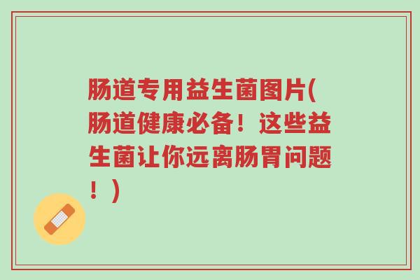 肠道专用益生菌图片(肠道健康必备!这些益生菌让你远离肠胃问题!)-第1张图片-超越 肠道专用益生菌图片(肠道健康必备!这些益生菌让你远离肠胃问题!)-第1张图片-超越