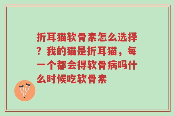 折耳猫软骨素怎么选择?我的猫是折耳猫,每一个都会得软骨病吗什么时候吃软骨素-第1张图片-超越 折耳猫软骨素怎么选择?我的猫是折耳猫,每一个都会得软骨病吗什么时候吃软骨素-第1张图片-超越