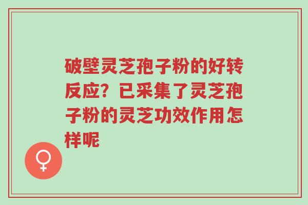 破壁灵芝孢子粉的好转反应?已采集了灵芝孢子粉的灵芝功效作用怎样呢-第1张图片-超越 破壁灵芝孢子粉的好转反应?已采集了灵芝孢子粉的灵芝功效作用怎样呢-第1张图片-超越