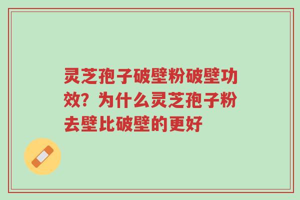 灵芝孢子破壁粉破壁功效?为什么灵芝孢子粉去壁比破壁的更好-第1张图片-超越 灵芝孢子破壁粉破壁功效?为什么灵芝孢子粉去壁比破壁的更好-第1张图片-超越
