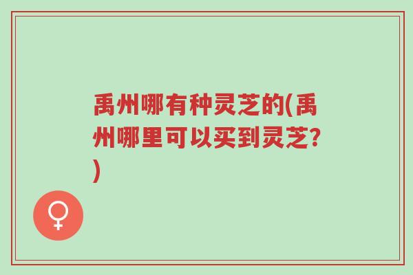 禹州哪有种灵芝的(禹州哪里可以买到灵芝?)-第1张图片-超越 禹州哪有种灵芝的(禹州哪里可以买到灵芝?)-第1张图片-超越