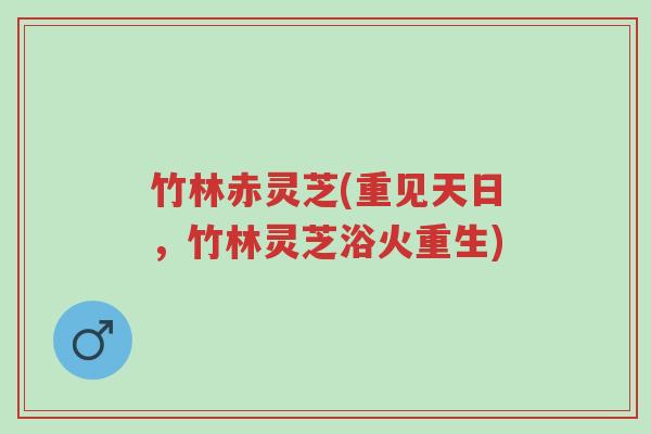 竹林赤灵芝(重见天日,竹林灵芝浴火重生)-第1张图片-超越 竹林赤灵芝(重见天日,竹林灵芝浴火重生)-第1张图片-超越