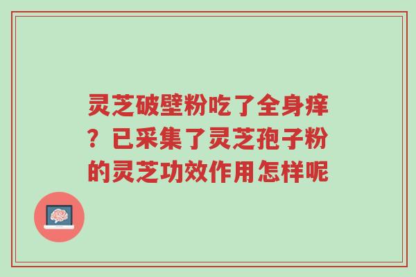 灵芝破壁粉吃了全身痒?已采集了灵芝孢子粉的灵芝功效作用怎样呢-第1张图片-超越 灵芝破壁粉吃了全身痒?已采集了灵芝孢子粉的灵芝功效作用怎样呢-第1张图片-超越