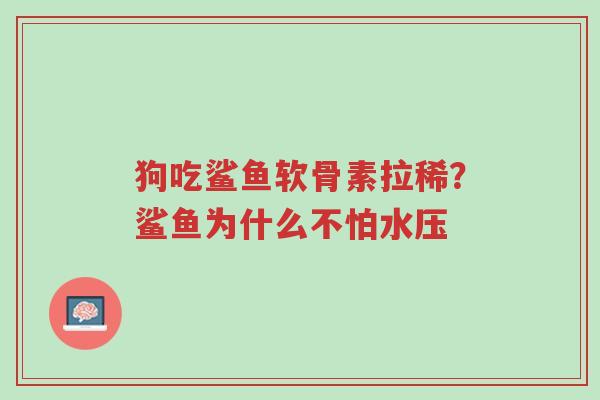 狗吃鲨鱼软骨素拉稀?鲨鱼为什么不怕水压-第1张图片-超越 狗吃鲨鱼软骨素拉稀?鲨鱼为什么不怕水压-第1张图片-超越