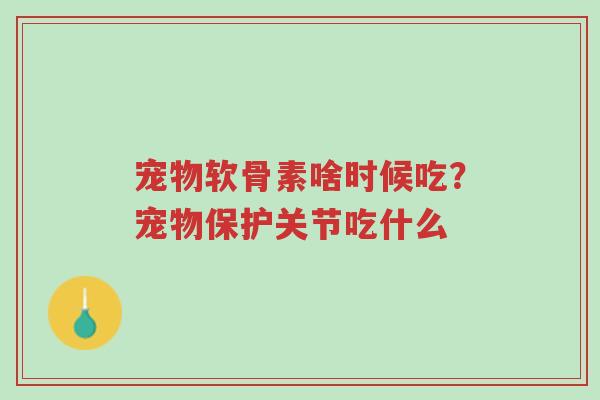 宠物软骨素啥时候吃?宠物保护关节吃什么-第1张图片-超越 宠物软骨素啥时候吃?宠物保护关节吃什么-第1张图片-超越