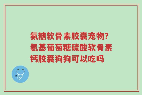氨糖软骨素胶囊宠物?氨基葡萄糖硫酸软骨素钙胶囊狗狗可以吃吗-第1张图片-超越 氨糖软骨素胶囊宠物?氨基葡萄糖硫酸软骨素钙胶囊狗狗可以吃吗-第1张图片-超越