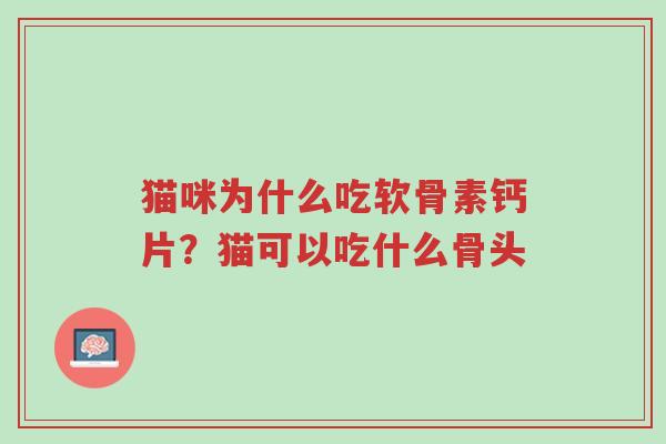 猫咪为什么吃软骨素钙片？猫可以吃什么骨头-第1张图片-超越