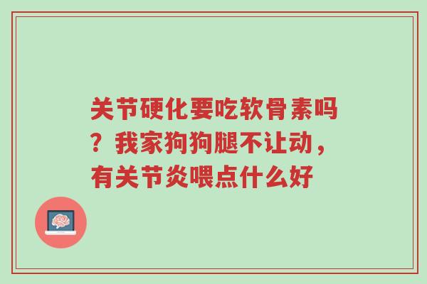 关节硬化要吃软骨素吗?我家狗狗腿不让动,有关节炎喂点什么好-第1张图片-超越 关节硬化要吃软骨素吗?我家狗狗腿不让动,有关节炎喂点什么好-第1张图片-超越