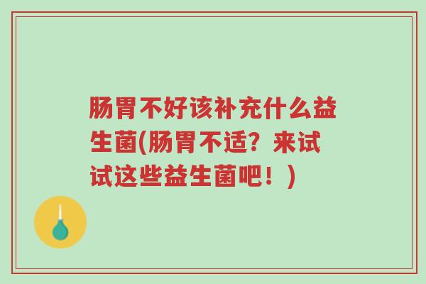 肠胃不好该补充什么益生菌(肠胃不适?来试试这些益生菌吧!)-第1张图片-超越 肠胃不好该补充什么益生菌(肠胃不适?来试试这些益生菌吧!)-第1张图片-超越