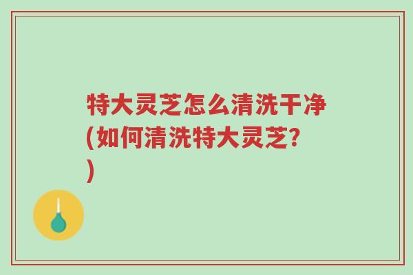 特大灵芝怎么清洗干净(如何清洗特大灵芝?)-第1张图片-超越 特大灵芝怎么清洗干净(如何清洗特大灵芝?)-第1张图片-超越