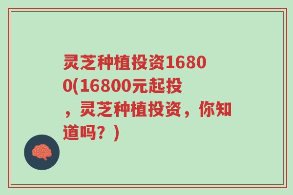灵芝种植投资16800(16800元起投,灵芝种植投资,你知道吗?)-第1张图片-超越 灵芝种植投资16800(16800元起投,灵芝种植投资,你知道吗?)-第1张图片-超越