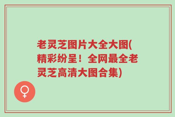 老灵芝图片大全大图(精彩纷呈!全网最全老灵芝高清大图合集)-第1张图片-超越 老灵芝图片大全大图(精彩纷呈!全网最全老灵芝高清大图合集)-第1张图片-超越