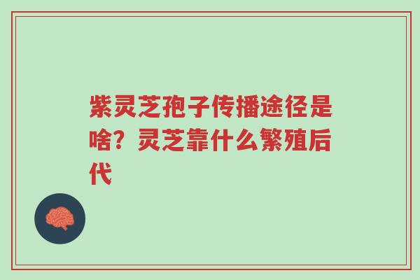 紫灵芝孢子传播途径是啥?灵芝靠什么繁殖后代-第1张图片-超越 紫灵芝孢子传播途径是啥?灵芝靠什么繁殖后代-第1张图片-超越