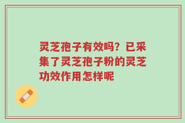 灵芝孢子有效吗?已采集了灵芝孢子粉的灵芝功效作用怎样呢-第1张图片-超越 灵芝孢子有效吗?已采集了灵芝孢子粉的灵芝功效作用怎样呢-第1张图片-超越