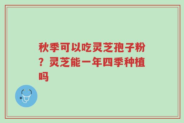 秋季可以吃灵芝孢子粉？灵芝能一年四季种植吗-第1张图片-超越