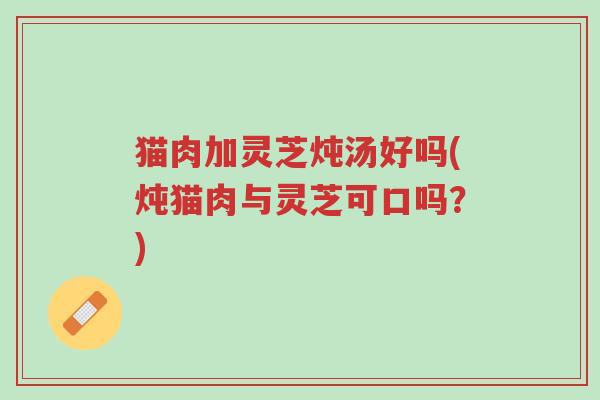 猫肉加灵芝炖汤好吗(炖猫肉与灵芝可口吗？)-第1张图片-超越