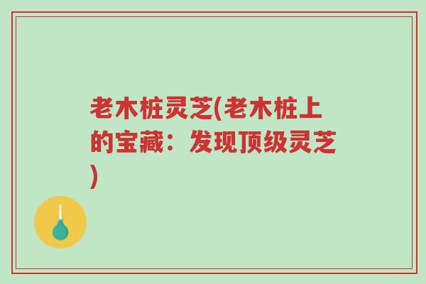 老木桩灵芝(老木桩上的宝藏:发现顶级灵芝)-第1张图片-超越 老木桩灵芝(老木桩上的宝藏:发现顶级灵芝)-第1张图片-超越