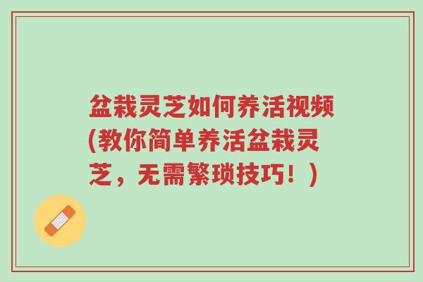 盆栽灵芝如何养活视频(教你简单养活盆栽灵芝,无需繁琐技巧!)-第1张图片-超越 盆栽灵芝如何养活视频(教你简单养活盆栽灵芝,无需繁琐技巧!)-第1张图片-超越