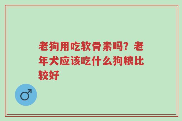 老狗用吃软骨素吗?老年犬应该吃什么狗粮比较好-第1张图片-超越 老狗用吃软骨素吗?老年犬应该吃什么狗粮比较好-第1张图片-超越