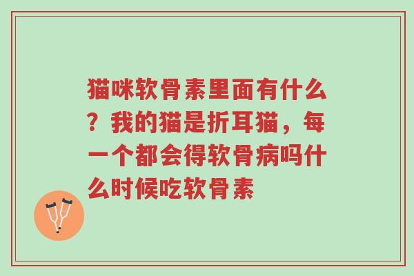猫咪软骨素里面有什么?我的猫是折耳猫,每一个都会得软骨病吗什么时候吃软骨素-第1张图片-超越 猫咪软骨素里面有什么?我的猫是折耳猫,每一个都会得软骨病吗什么时候吃软骨素-第1张图片-超越