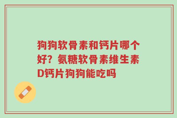 狗狗软骨素和钙片哪个好?氨糖软骨素维生素D钙片狗狗能吃吗-第1张图片-超越 狗狗软骨素和钙片哪个好?氨糖软骨素维生素D钙片狗狗能吃吗-第1张图片-超越