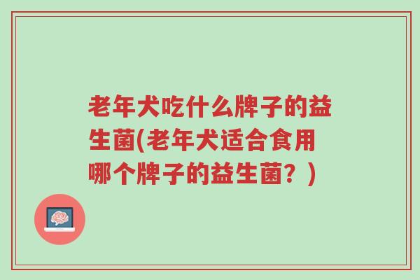 老年犬吃什么牌子的益生菌(老年犬适合食用哪个牌子的益生菌?)-第1张图片-超越 老年犬吃什么牌子的益生菌(老年犬适合食用哪个牌子的益生菌?)-第1张图片-超越