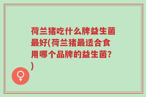 荷兰猪吃什么牌益生菌最好(荷兰猪最适合食用哪个品牌的益生菌?)-第1张图片-超越 荷兰猪吃什么牌益生菌最好(荷兰猪最适合食用哪个品牌的益生菌?)-第1张图片-超越