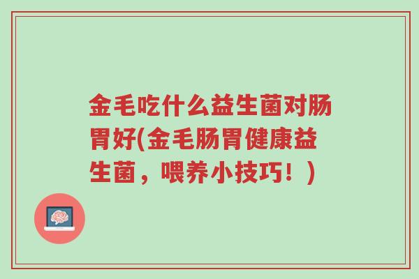 金毛吃什么益生菌对肠胃好(金毛肠胃健康益生菌,喂养小技巧!)-第1张图片-超越 金毛吃什么益生菌对肠胃好(金毛肠胃健康益生菌,喂养小技巧!)-第1张图片-超越
