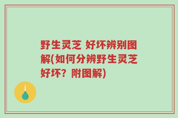 野生灵芝 好坏辨别图解(如何分辨野生灵芝好坏?附图解)-第1张图片-超越 野生灵芝 好坏辨别图解(如何分辨野生灵芝好坏?附图解)-第1张图片-超越