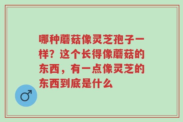 哪种蘑菇像灵芝孢子一样?这个长得像蘑菇的东西,有一点像灵芝的东西到底是什么-第1张图片-超越 哪种蘑菇像灵芝孢子一样?这个长得像蘑菇的东西,有一点像灵芝的东西到底是什么-第1张图片-超越
