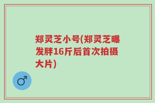 郑灵芝小号(郑灵芝曝发胖16斤后首次拍摄大片)-第1张图片-超越 郑灵芝小号(郑灵芝曝发胖16斤后首次拍摄大片)-第1张图片-超越
