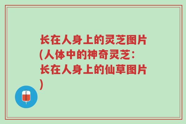 长在人身上的灵芝图片(人体中的神奇灵芝：长在人身上的仙草图片)-第1张图片-超越