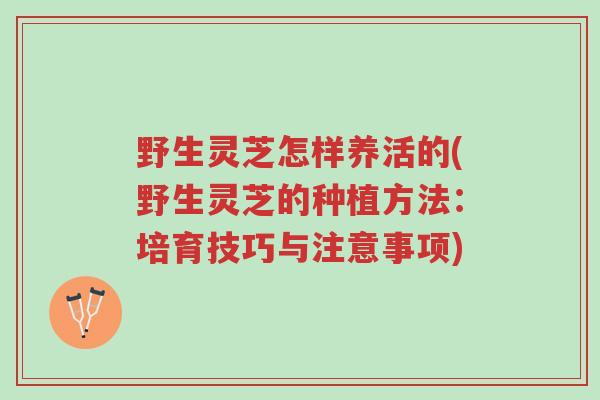 野生灵芝怎样养活的(野生灵芝的种植方法:培育技巧与注意事项)-第1张图片-超越 野生灵芝怎样养活的(野生灵芝的种植方法:培育技巧与注意事项)-第1张图片-超越