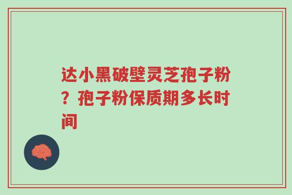 达小黑破壁灵芝孢子粉?孢子粉保质期多长时间-第1张图片-超越 达小黑破壁灵芝孢子粉?孢子粉保质期多长时间-第1张图片-超越