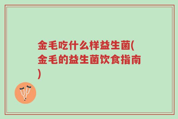金毛吃什么样益生菌(金毛的益生菌饮食指南)-第1张图片-超越 金毛吃什么样益生菌(金毛的益生菌饮食指南)-第1张图片-超越