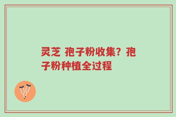 灵芝 孢子粉收集？孢子粉种植全过程-第1张图片-超越