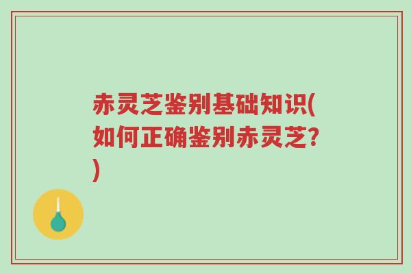 赤灵芝鉴别基础知识(如何正确鉴别赤灵芝?)-第1张图片-超越 赤灵芝鉴别基础知识(如何正确鉴别赤灵芝?)-第1张图片-超越