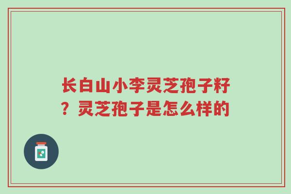 长白山小李灵芝孢子籽?灵芝孢子是怎么样的-第1张图片-超越 长白山小李灵芝孢子籽?灵芝孢子是怎么样的-第1张图片-超越