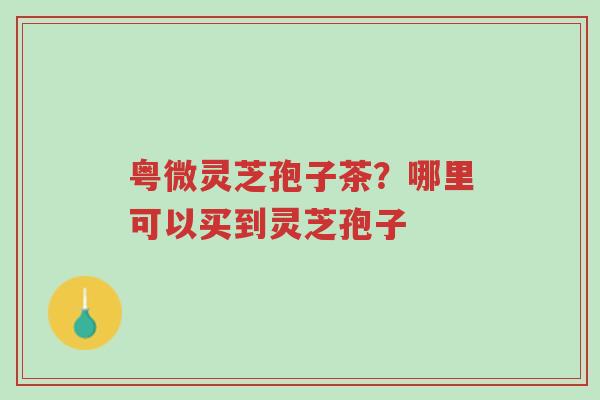 粤微灵芝孢子茶?哪里可以买到灵芝孢子-第1张图片-超越 粤微灵芝孢子茶?哪里可以买到灵芝孢子-第1张图片-超越